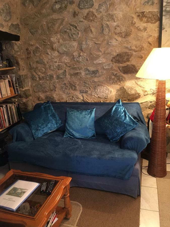 Mas Scott Apartment Serralongue Bagian luar foto